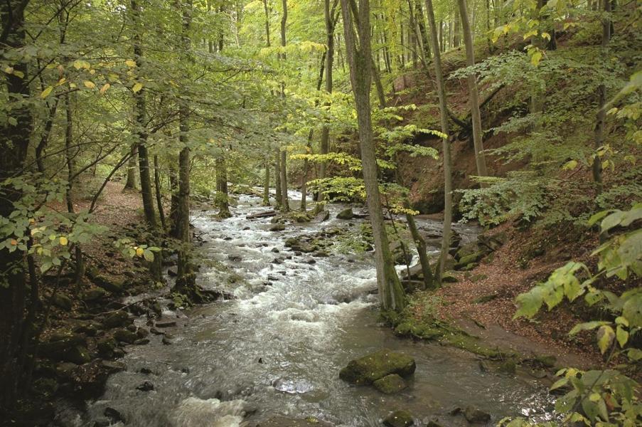 Fewo Hof Elbbachtal Westerburg  Kültér fotó