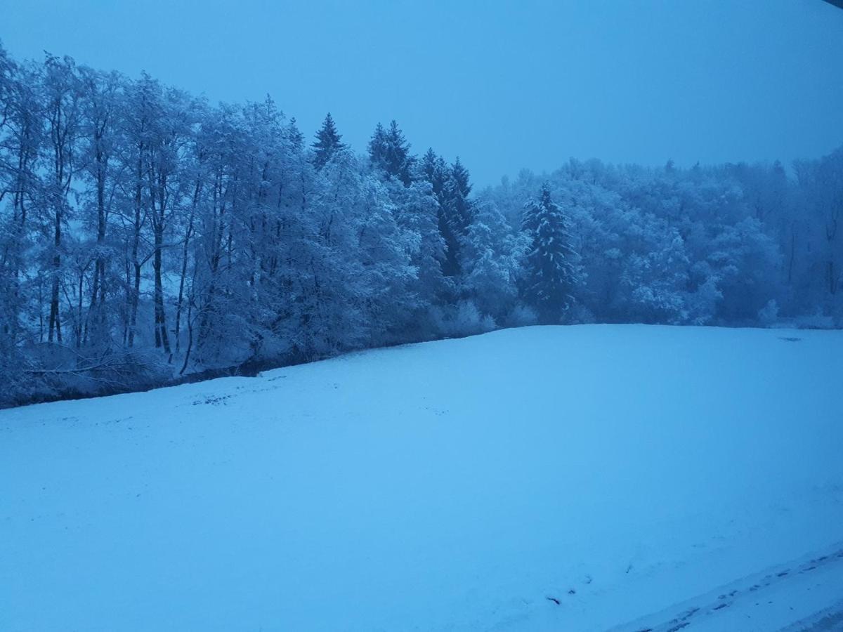 Fewo Hof Elbbachtal Westerburg  Kültér fotó