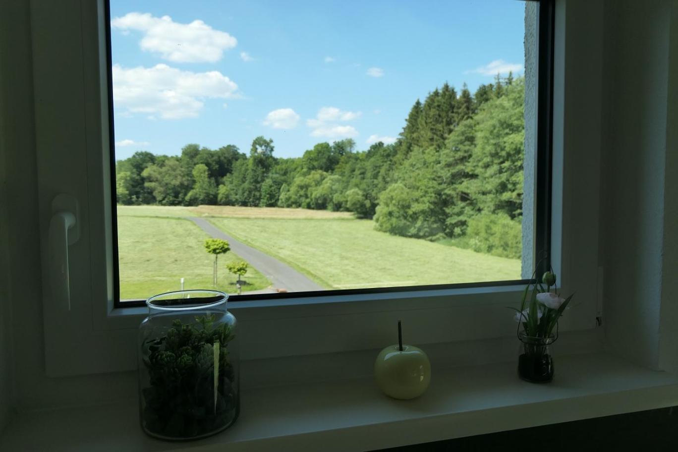 Fewo Hof Elbbachtal Westerburg  Szoba fotó